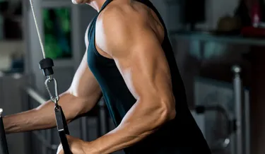Biceps, Triceps & Back Workouts: Safe Tips from Rapha Rehab for Stronger Upper Body