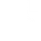 Bottom decorative icon