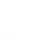 Top decorative icon